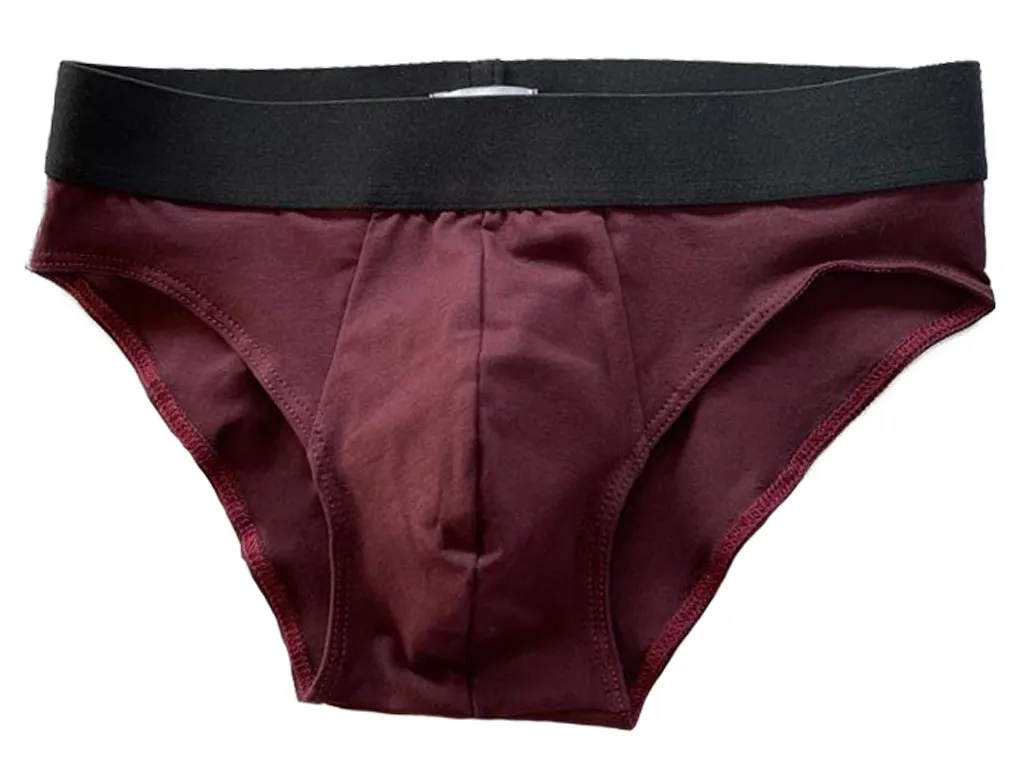 Organic Cotton Jersey Brief in Deep Red