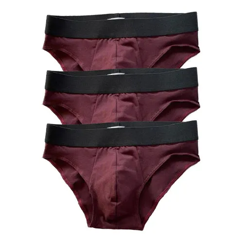 Organic Cotton Jersey Brief in Deep Red