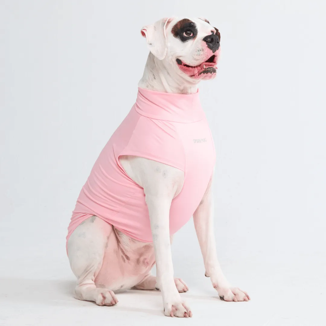 Sunblock Dog T-Shirts