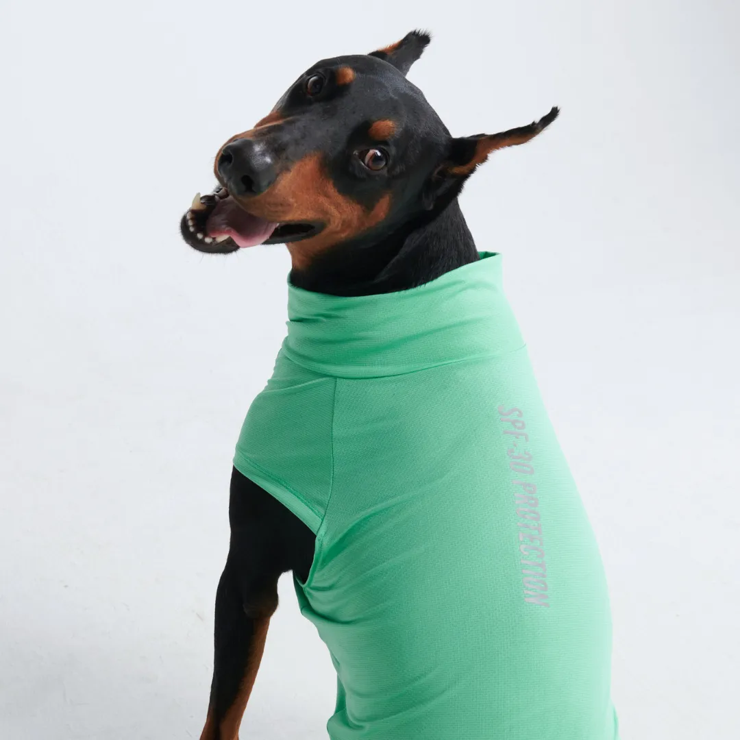 Sunblock Dog T-Shirts