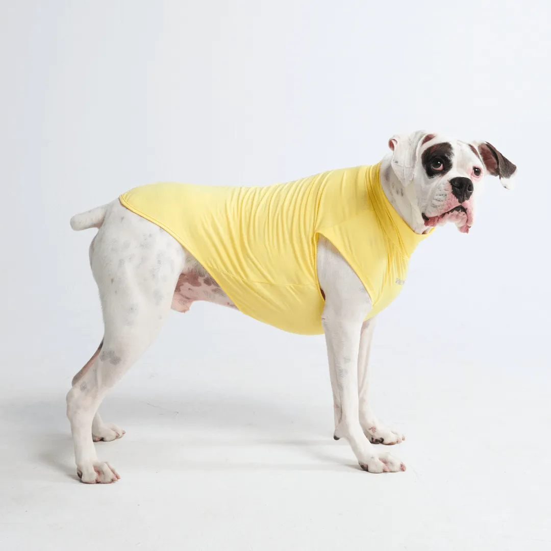 Sunblock Dog T-Shirts