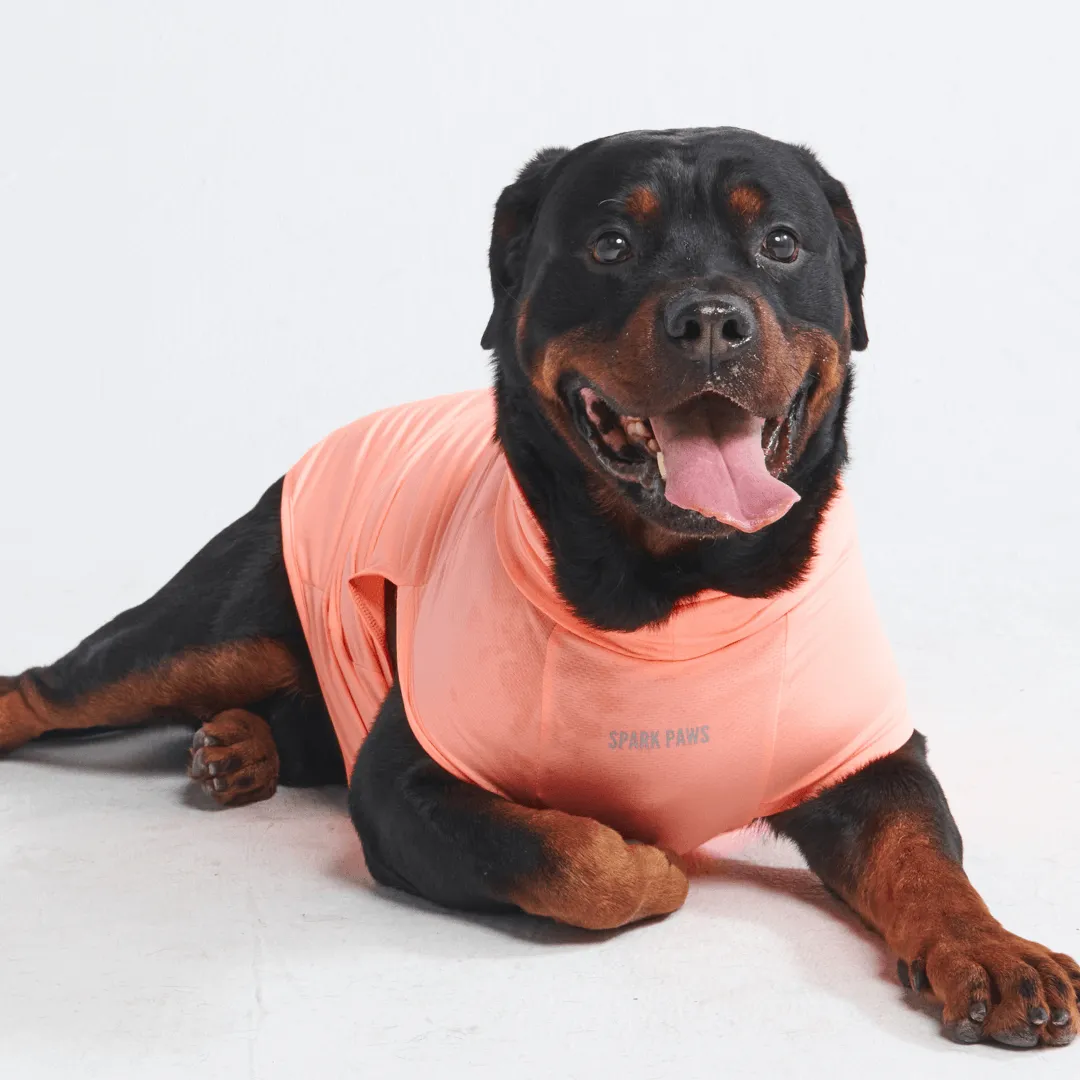 Sunblock Dog T-Shirts