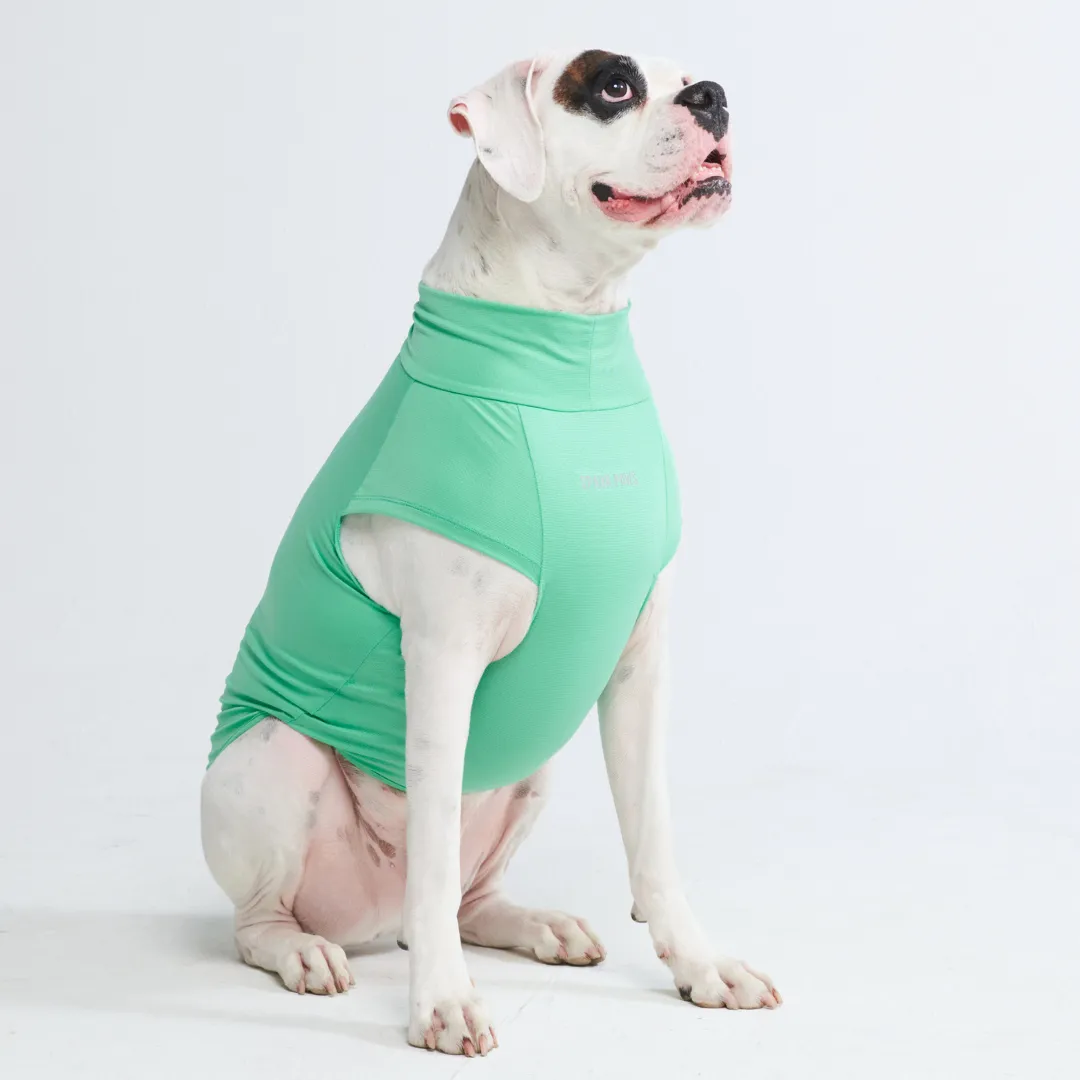 Sunblock Dog T-Shirts