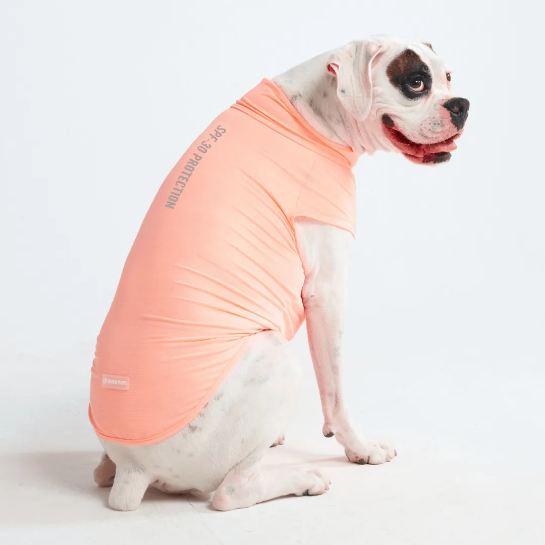 Sunblock Dog T-Shirts