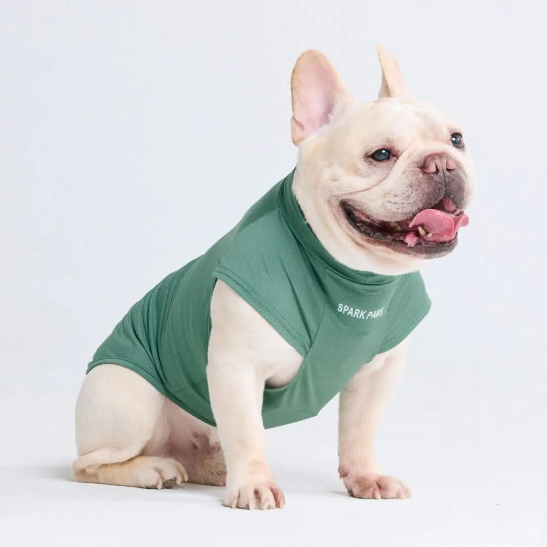 Sunblock Dog T-Shirts